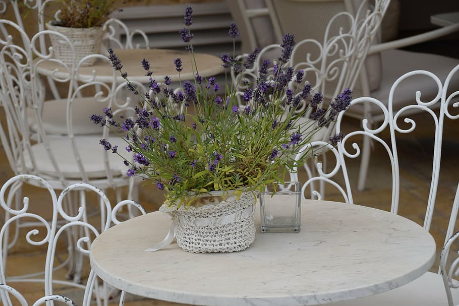 lavender, meja, italia, bunga, tanaman berbunga, tanaman, vas, tidak ada orang, di dalam ruangan, kesegaran