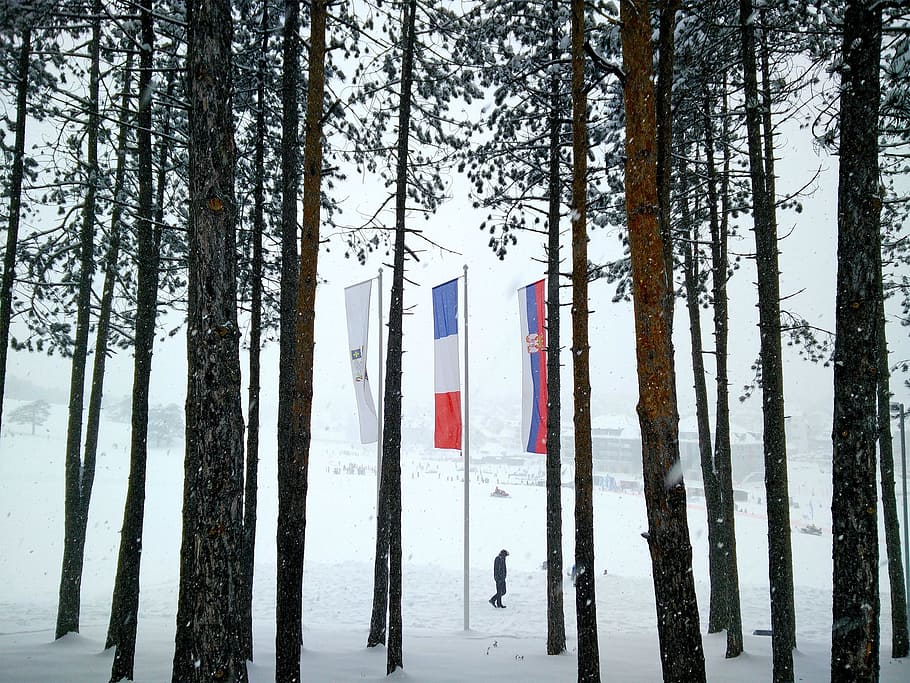 Zlatibor, Mountain, Trees, Flags, Snow, winter, tourism, serbia, flag, tree