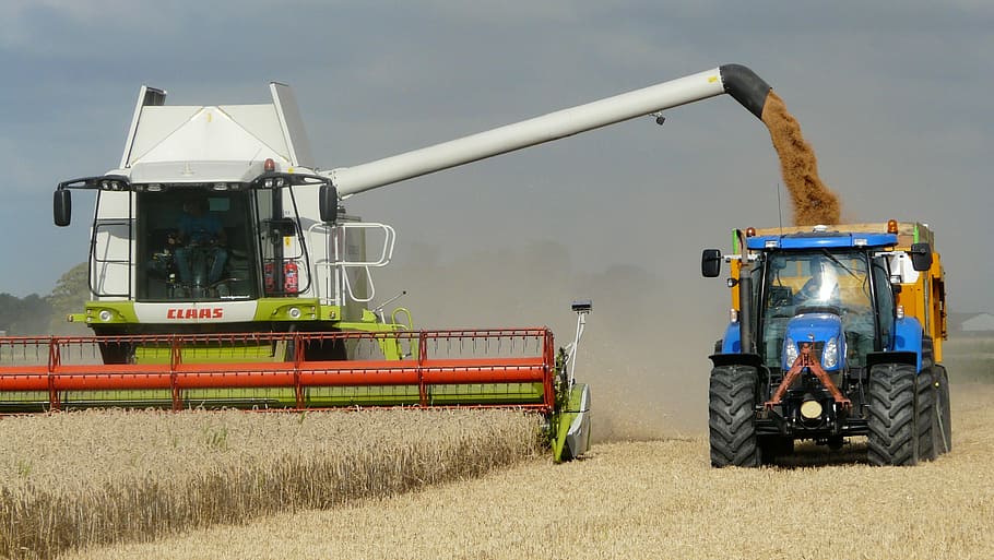 blue, black, tractor, harvest, grain, combine, arable farming, harvest time, agricultural vehicles, field