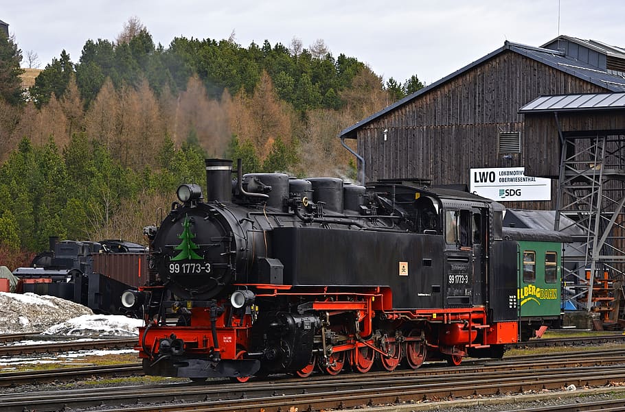 steam locomotive, historically, fichtelberg railway, nostalgia, narrow gauge railway, tourism, rail transportation, train - vehicle, train, tree