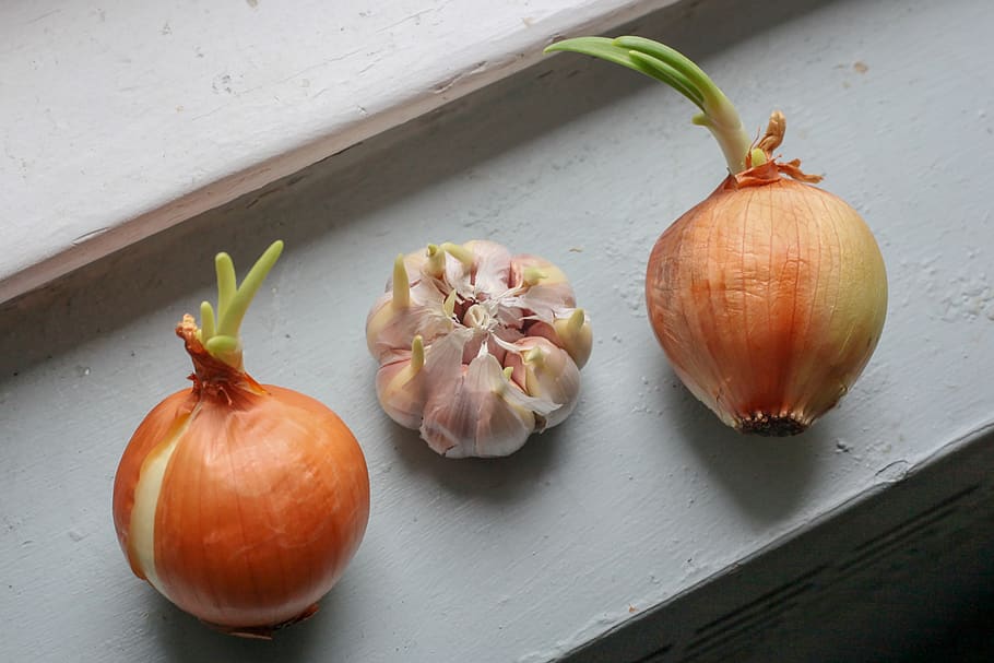 onion, garlic, cook, food, eat, kitchen, healthy, fresh, table, nutrition