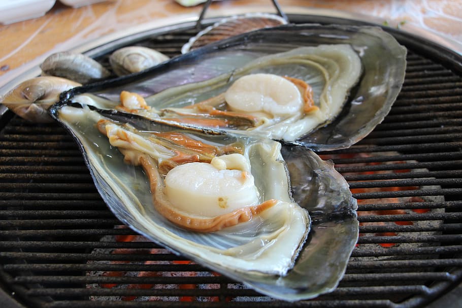 clam, grilled shellfish, seafood, grilled, cooking, seafood grill, food, food and drink, freshness, healthy eating
