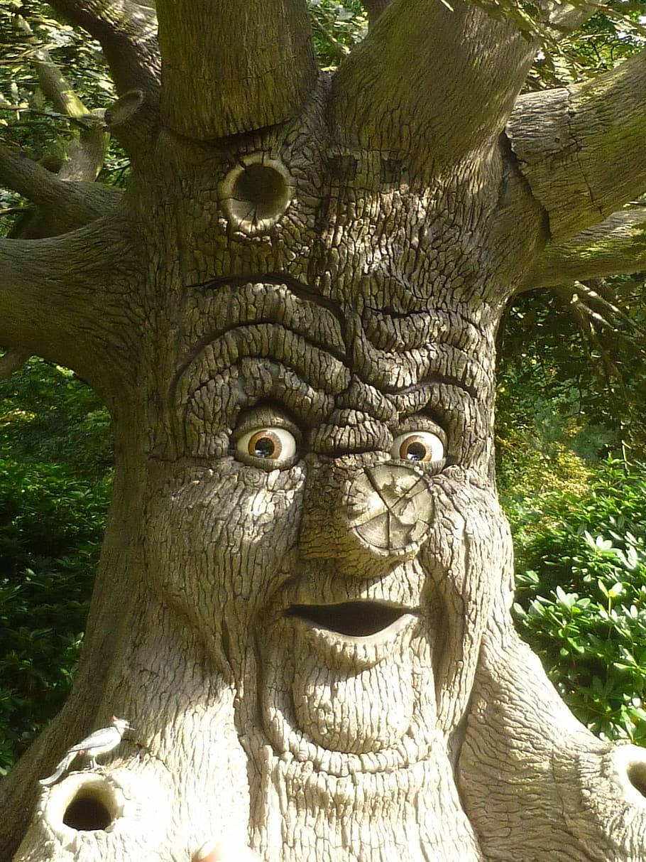 marrón, ilustración de la cara del árbol, árbol, cara, ilustración, cara del árbol, hablando, cuentos de hadas, fantasía, ojos