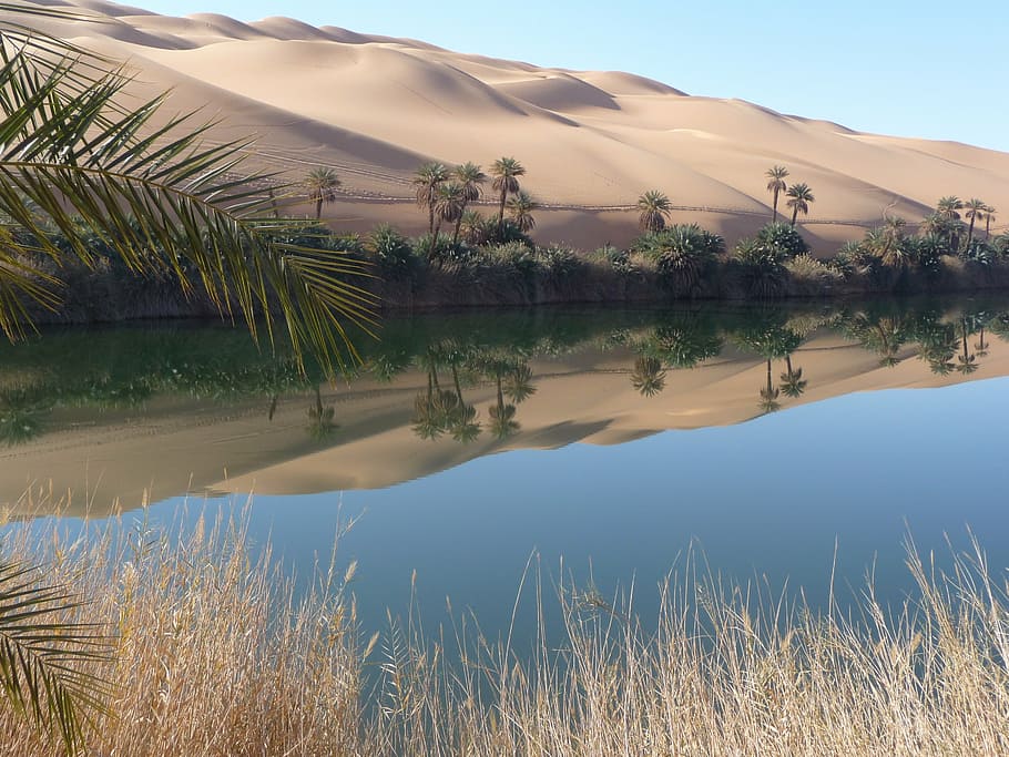 風景写真体, 水, デザート, オアシス, リビア, 湖, 残り, ミラーリング, 砂漠, 自然