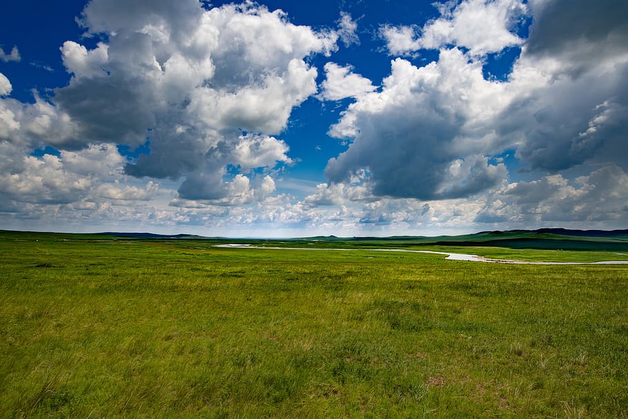landscape, meadow, sky, cloud, river, grazing, mongolia, cloud - sky, grass, tranquil scene