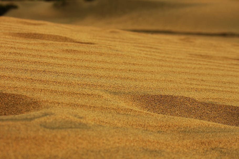 砂, 砂利, 砂漠, 屋外, 砂丘, 自然, テクスチャ, 乾燥, 人なし, 夏