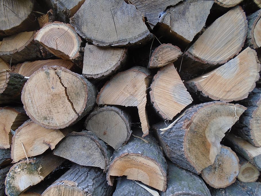 wood, woodpile, fuel, nature, cut, firewood, prism, ripped firewood, wood columns, timber