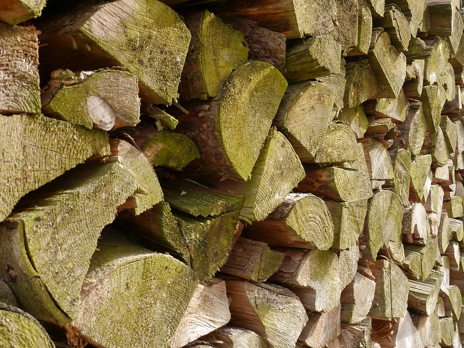 wood, holzstapel, grain, firewood, stacked up, nature, growing stock, storage, texture, strains