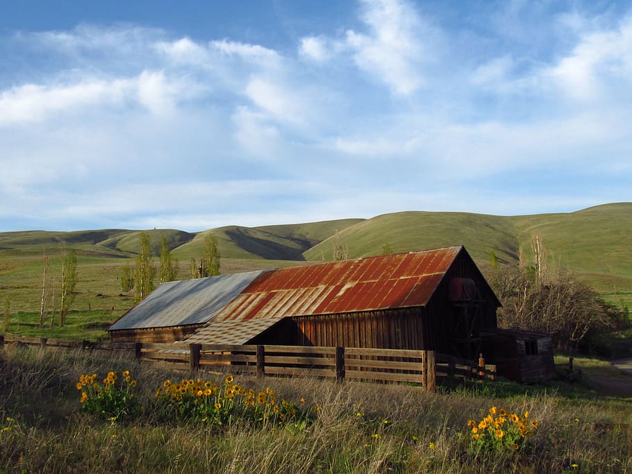 velho, fazenda, celeiro, rústico, paisagem, bluesky, campo, intemperizado, madeira, cerca