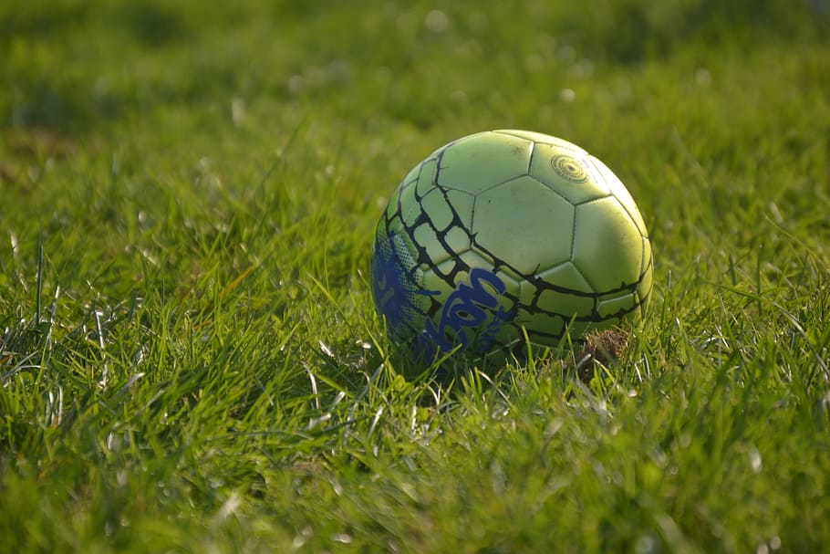 футбол, мяч, трава, спорт, раш, игра, футбольный мяч, растение, зеленый цвет, нет людей