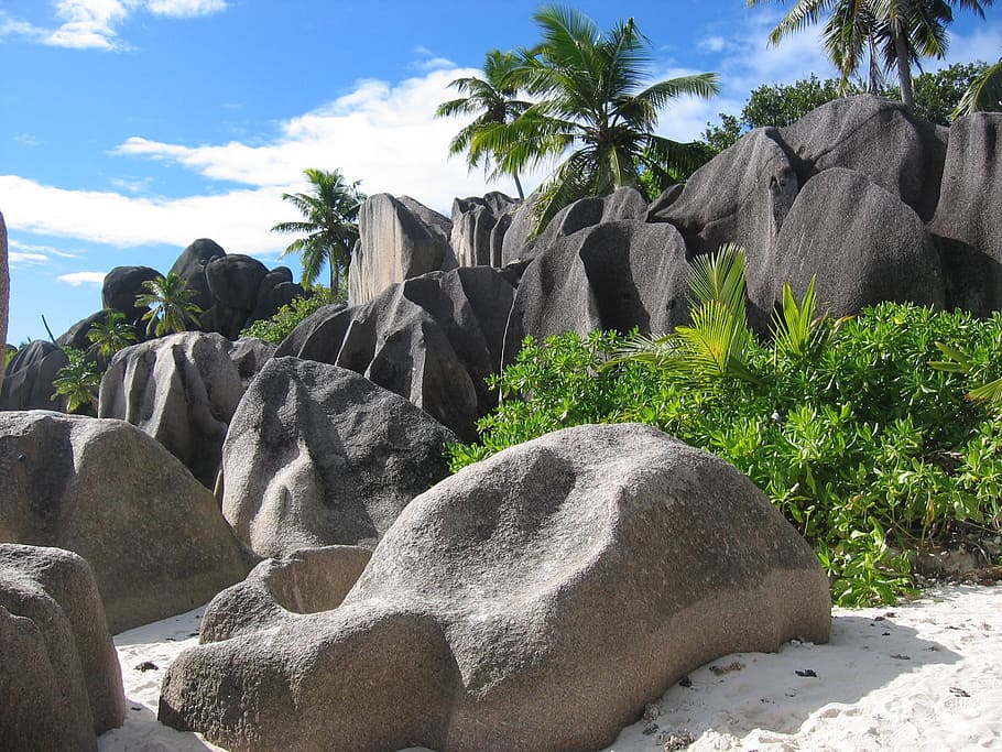 landscape photograph, rocks, Seychelles, Holiday, Palm Trees, Rock, sand, island, beach, tropical
