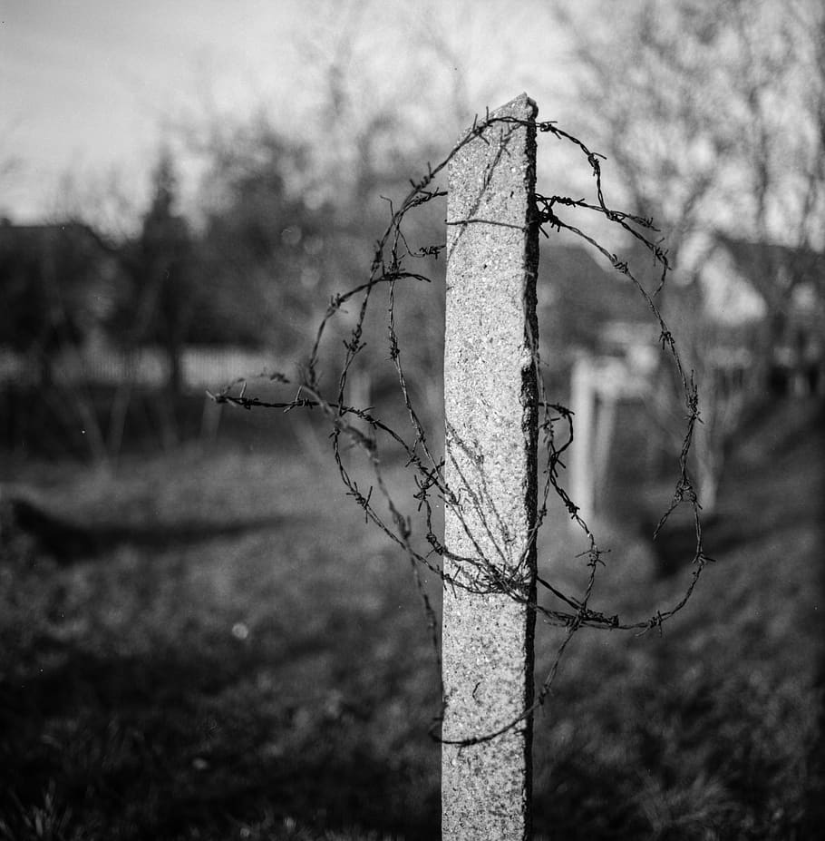 barbed wire, concrete, black and white, blurry background, light, black, blackwhite, blur, contrast, monochrome