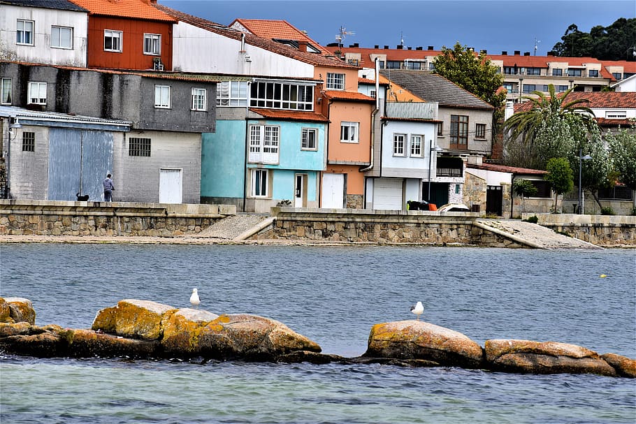 cambados, ria, sailor, landscape, galicia, sea, costa, port, water, architecture