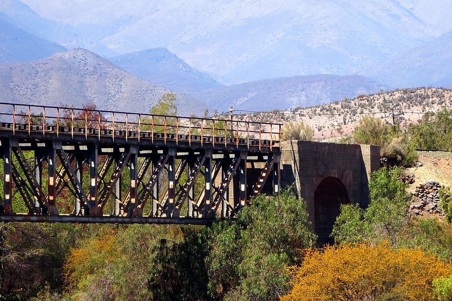 combarbalá, 오래된 기차, 100 년, 다리, 다리-사람이 만든 구조, 식물, 연결, 건축 구조, 건축물, 산