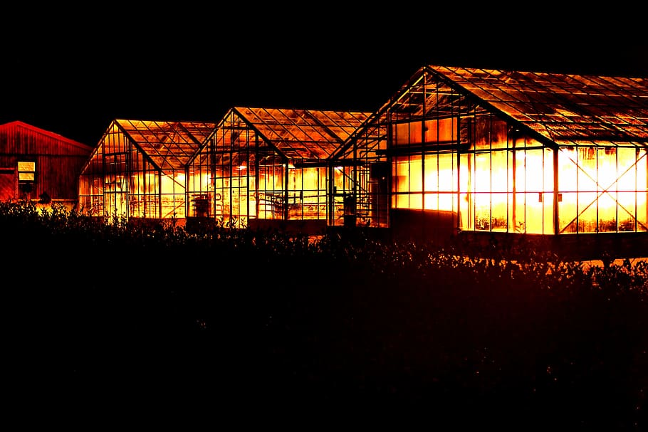three, lighted, green, houses, dark, night, yellow, farmhouse, glass, greenhouse