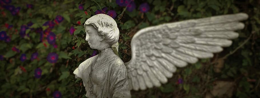 Statue, Torso, Wing, Angel, focus on foreground, outdoors, plant, day, nature, art and craft