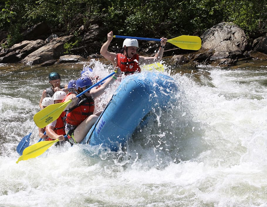 Rafting, Whitewater, River, Sport, whitewater, river, adventure, helmet, paddle, boat, fun