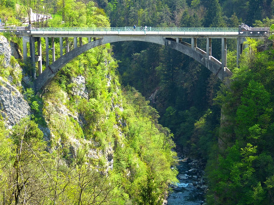 bridge, high, dangerous, gorge, abyss, forest, nature, water, river, flow