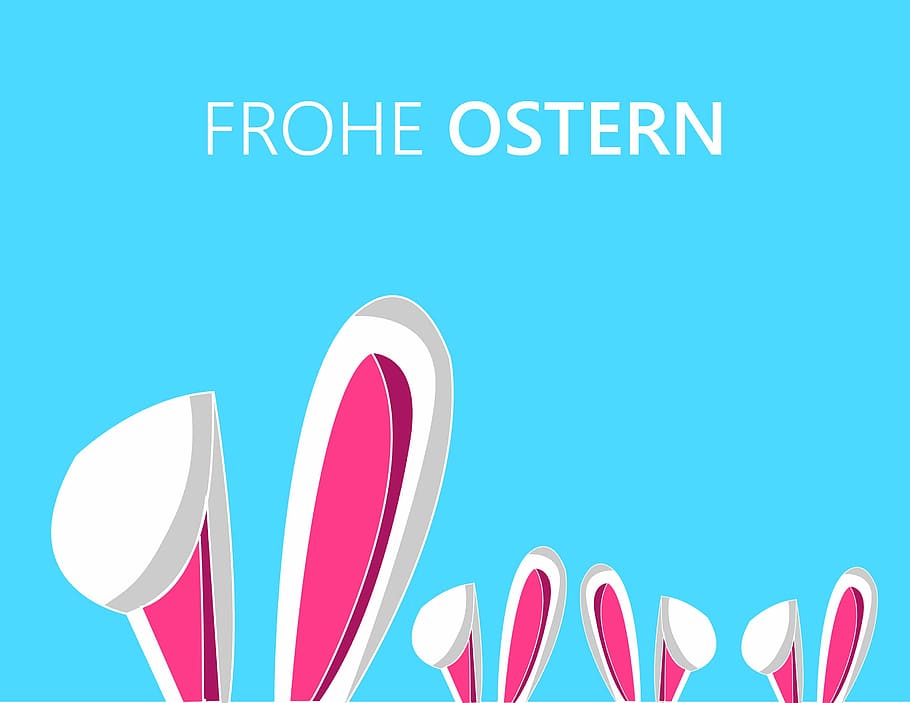 frohe ostern text, easter, hare, ears, bunny, greeting card, animal, cute, decorative, sweet