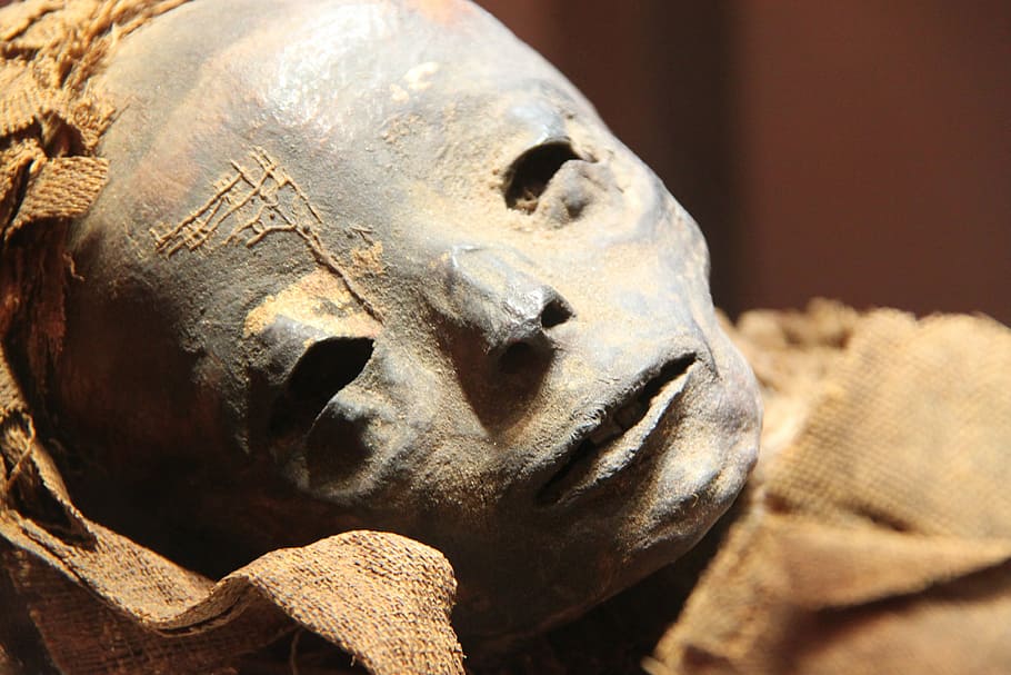 homem, cinza, figura principal, múmia, museu, egípcio, egito, antiga, arqueologia, artefato