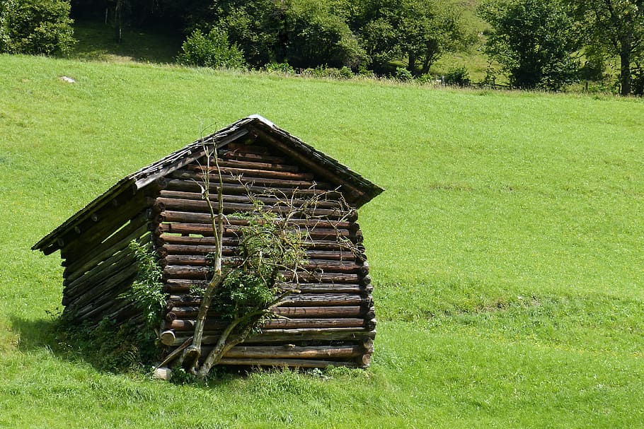 hut, barn, heustadel, askew, mountain meadow, scale, log cabin, plant, grass, green color
