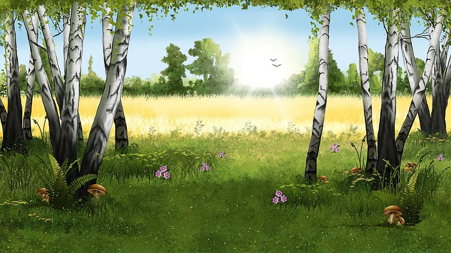 green grass painting, landscape, forest, nature, birches, drawing, mushrooms, wallpaper, background, summer