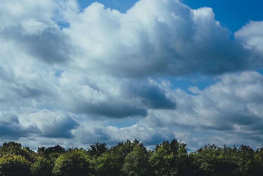 trees, clouds, sky, cloud - sky, tree, beauty in nature, plant, tranquility, nature, scenics - nature