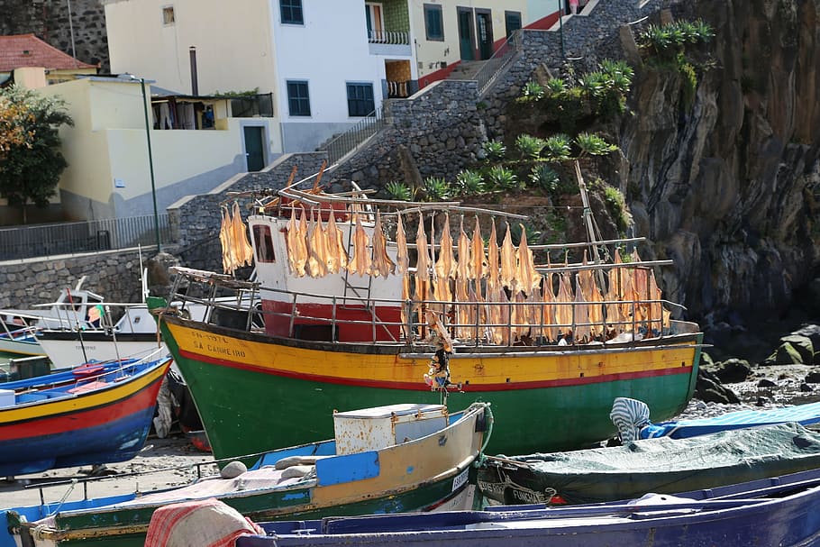 Madeira, barco, pesca, secado, embarcación náutica, mar, puerto, culturas, costa, industria pesquera