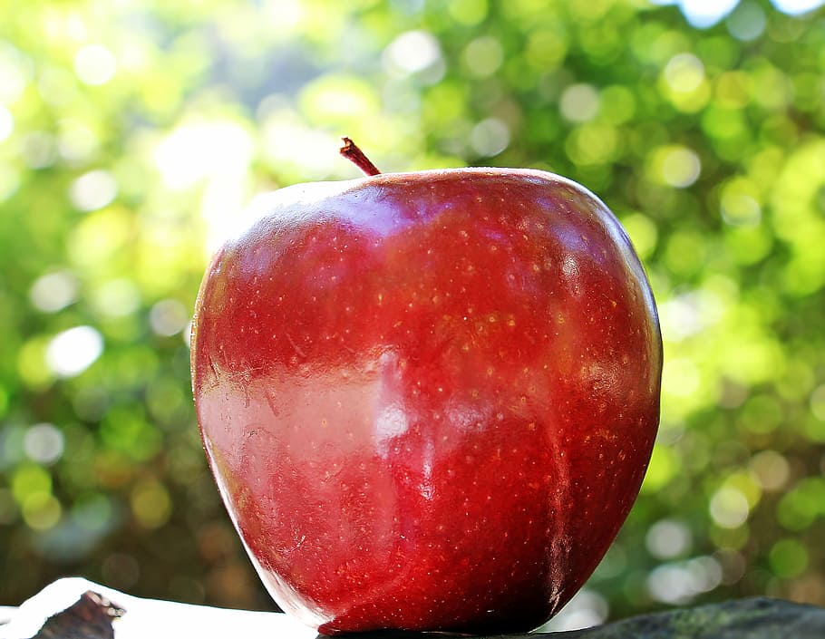 foto, vermelho, maçã, maçã vermelha, chefe vermelho, fruta, vitaminas, natureza, delicioso, doce