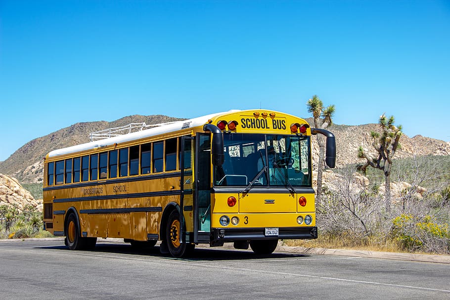 school bus, yellow, america, bus, transport, vehicle, school, traffic, education, children