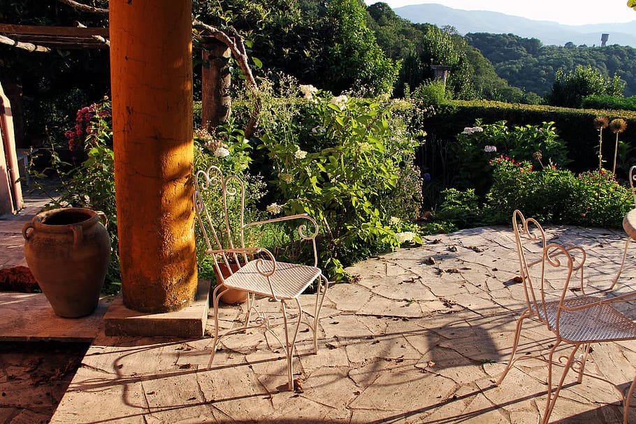 terraza, comedor, mesas, sillas, planta, árbol, naturaleza, luz de sol, crecimiento, nadie
