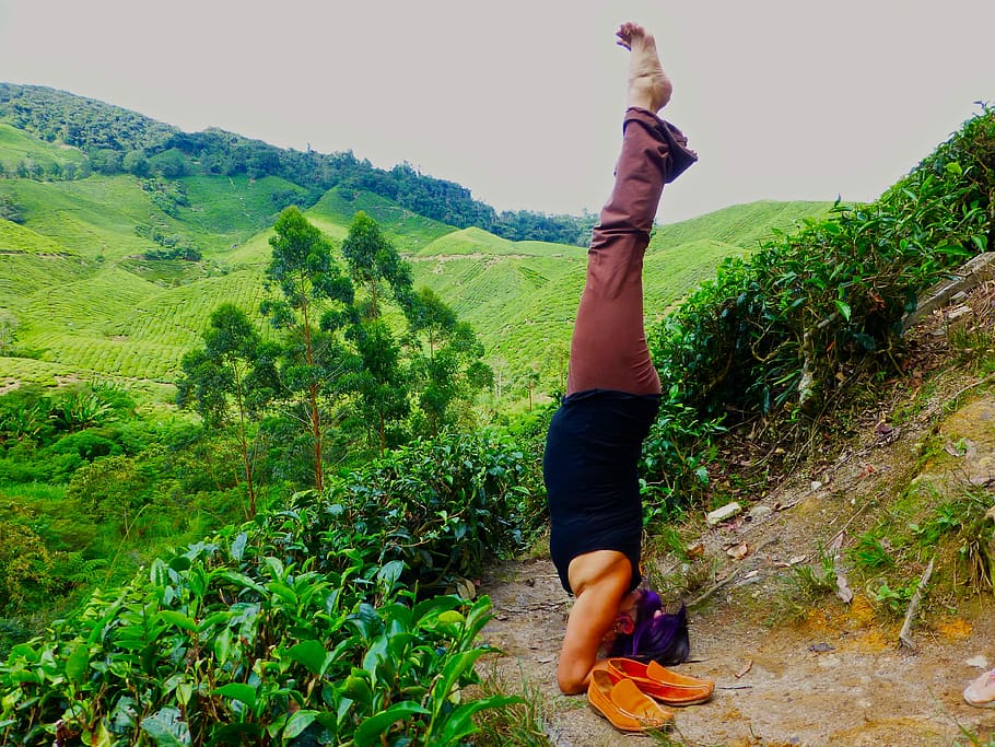 Malaysia, Yoga, Headstand, outdoors, nature, one Person, healthy Lifestyle, rural Scene, women, people