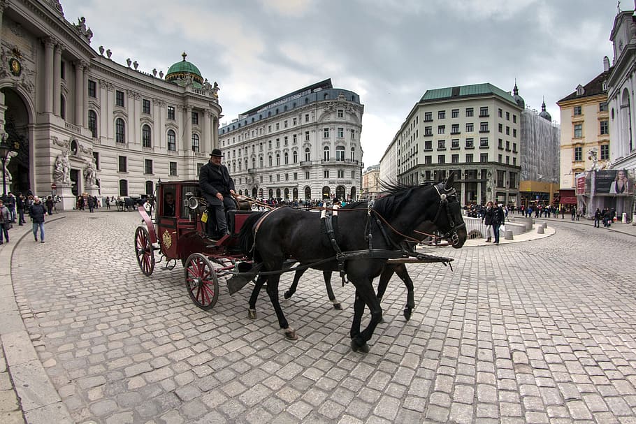 horse carriage, travelling, city, Vienna, Old Town, Downtown, Fiaker, pedestrian zone, capital, architecture