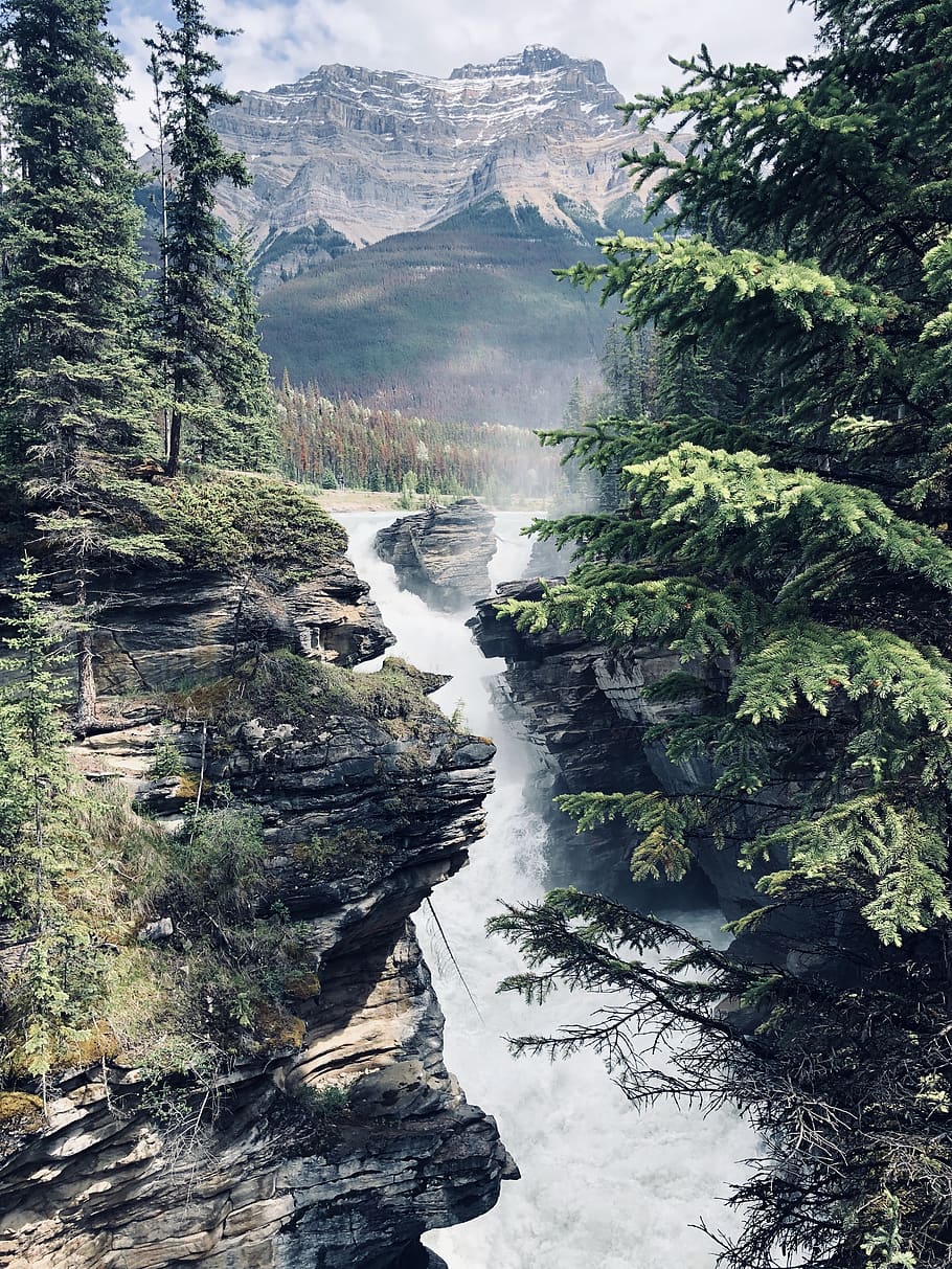 athabasca falls, scenic waterfalls, landscape, mountain, canada, waterfall, scenic, national, jasper, travel