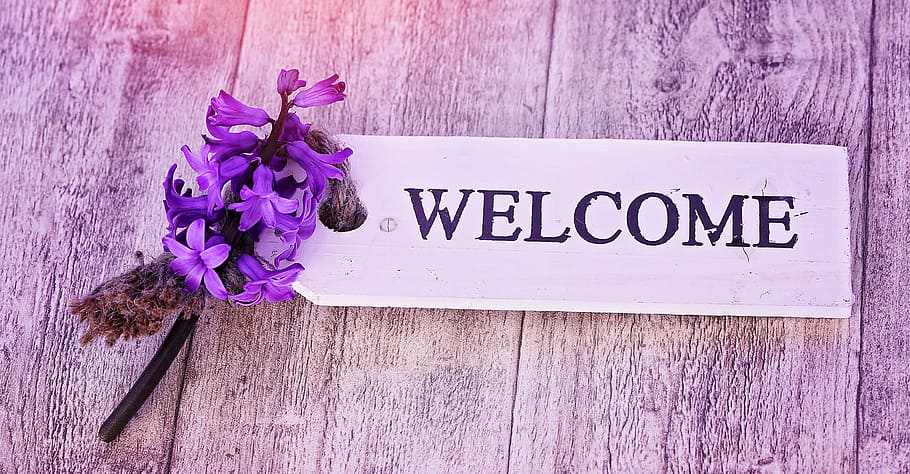 purple, hyacinth, welcome, signage, signboard, flower, fragrant flower, fragrant, spring flower, shield