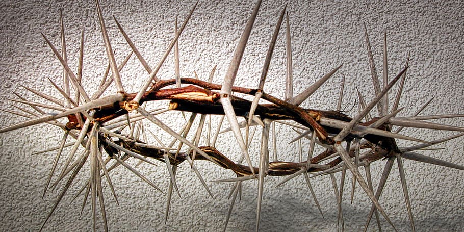 easter, crown of thorns, crucifixion, christ, christianity, good friday, church, crown, symbol, faith