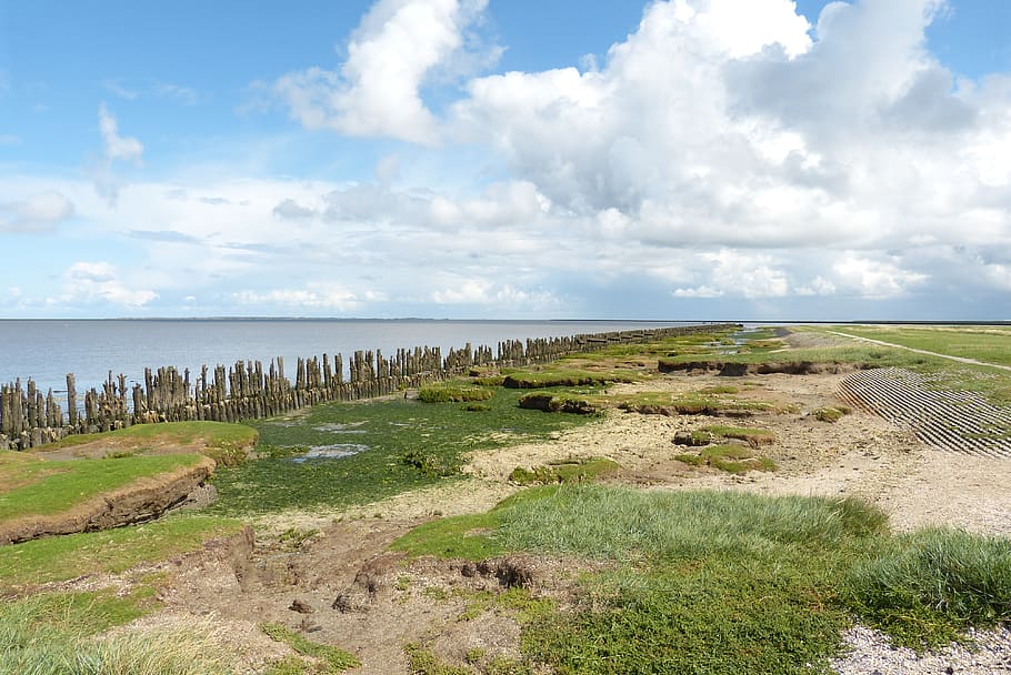 north sea, netherlands, ebb, sea, green, clouds, summer, hiking, nature, relaxation