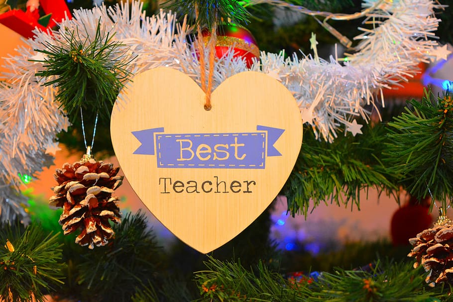 best teacher decor, christmas, brad, artificial christmas tree, christmas tree, celebrate, ornament, best teacher, cordate, decoration