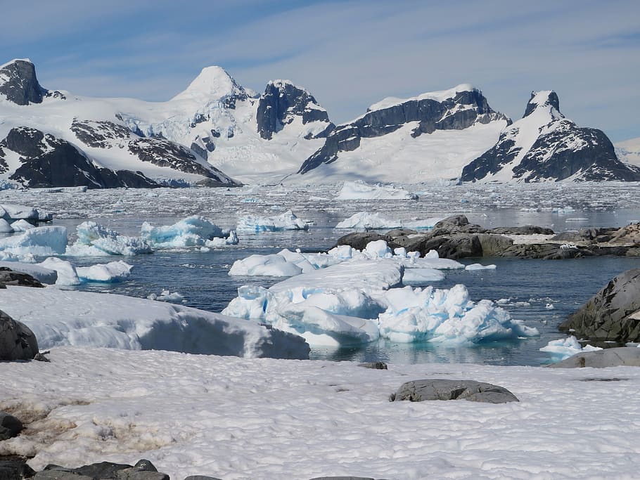 ice, antarctica, snow, water, ice floes, cold temperature, glacier, winter, landscape, beauty in nature