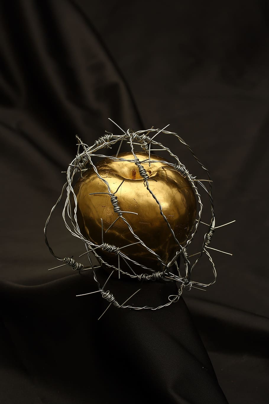 gold-colored apple fruit, gray, wire, apple, barbed wire, dea, metal, gold, yellow, paint