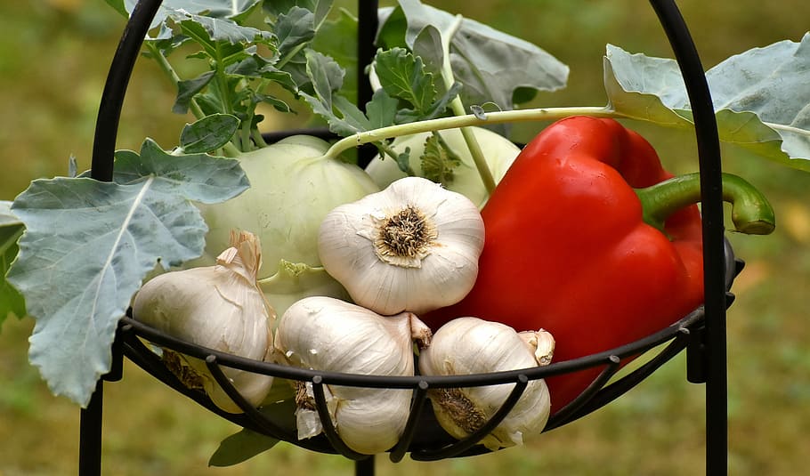 garlic, black, steel pedestal bowl, vegetables, kohlrabi, paprika, healthy, food, vitamins, vegetable plant