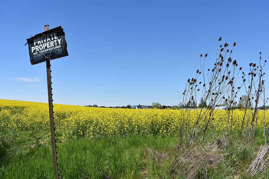 private property, sign, flowers, field, farmers, warning, security, restricted, trespass, legal