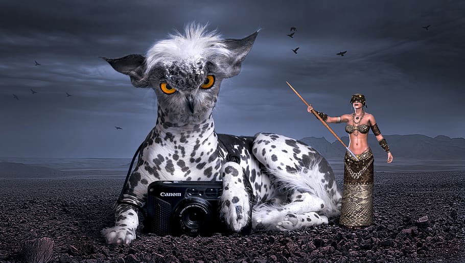 foto, negro, cámara, blanco, animal, mujer, tenencia, palo, 3d, ilustración