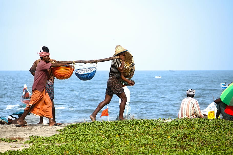 two, men, carrying, wooden, yoke, baskets, people, fish, beach, water