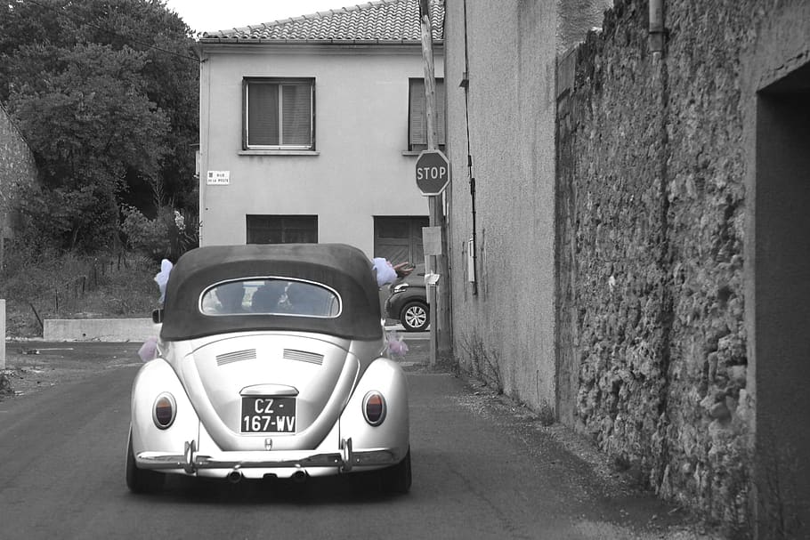 wedding, volkswagon, vw bug, europe, auto, bug, love, 1960s, vehicle, european