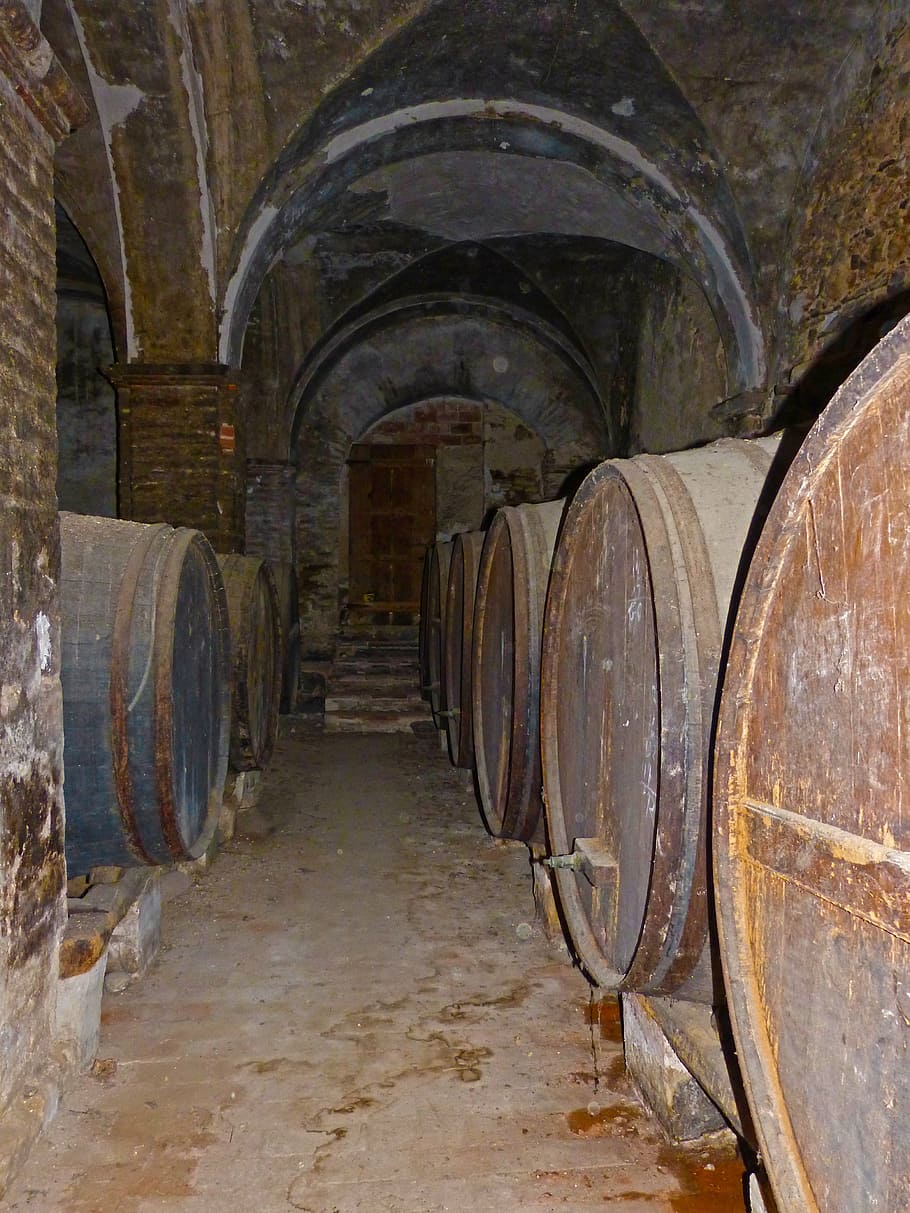 winery, casks, arcades, old, abandoned, wine, wine cask, wine cellar, barrel, cellar