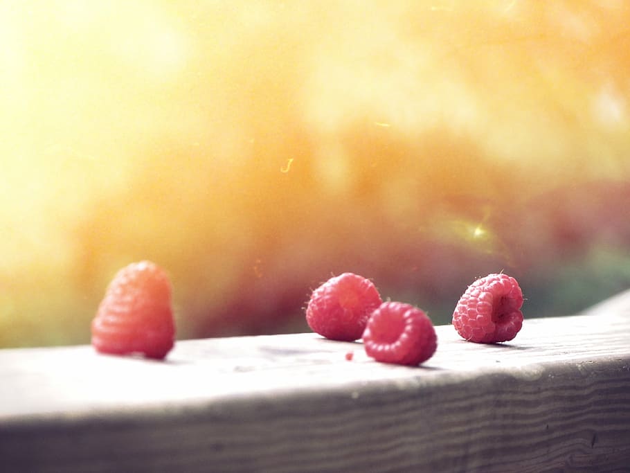 empat buah raspberry, merah, buah-buahan, coklat, permukaan, rasberi, sinar matahari, tidak ada orang, suhu dingin, alam
