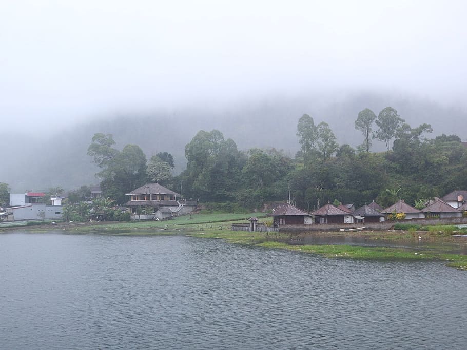 fog, view, lake, houses, green, fresh, cold, water, house, architecture