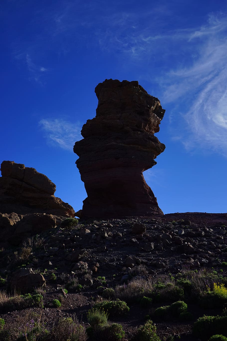 Torre de la roca, Roque Cinchado, Piedra, Árbol, árbol de piedra, dedo de dios, hito, tenerife, roca, acantilado