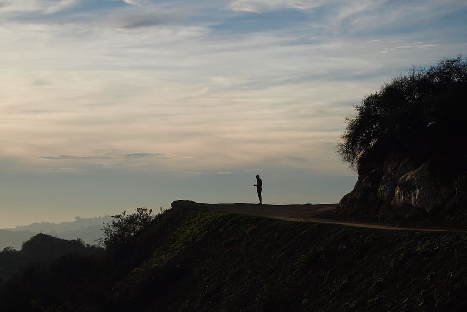 silueta, persona, de pie, acantilado, California, Los Ángeles, La, parque griffith, turista, américa